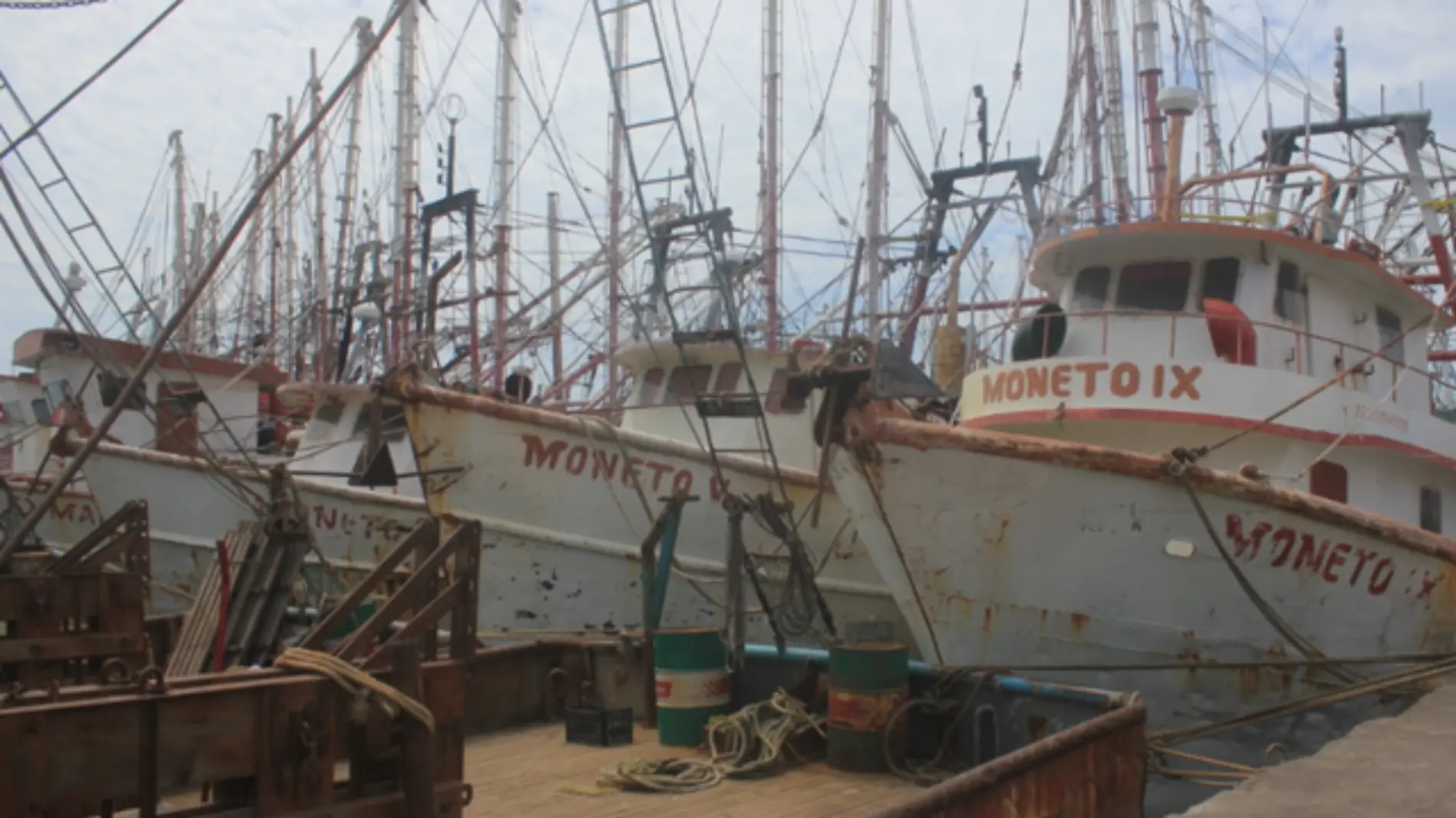 armadores barcos